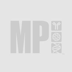 MP Biomedicals&trade;&nbsp;RIPA buffer with Triton X-100, 500 mL